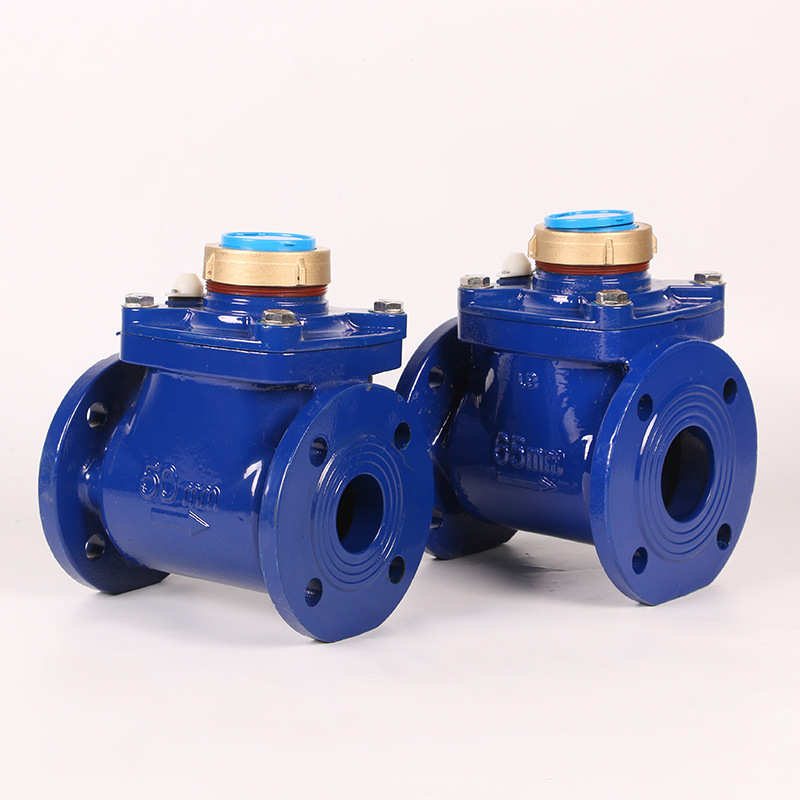 加工定制商用家用螺翼式铜罩可拆卸水表大口径可拆卸智能水表