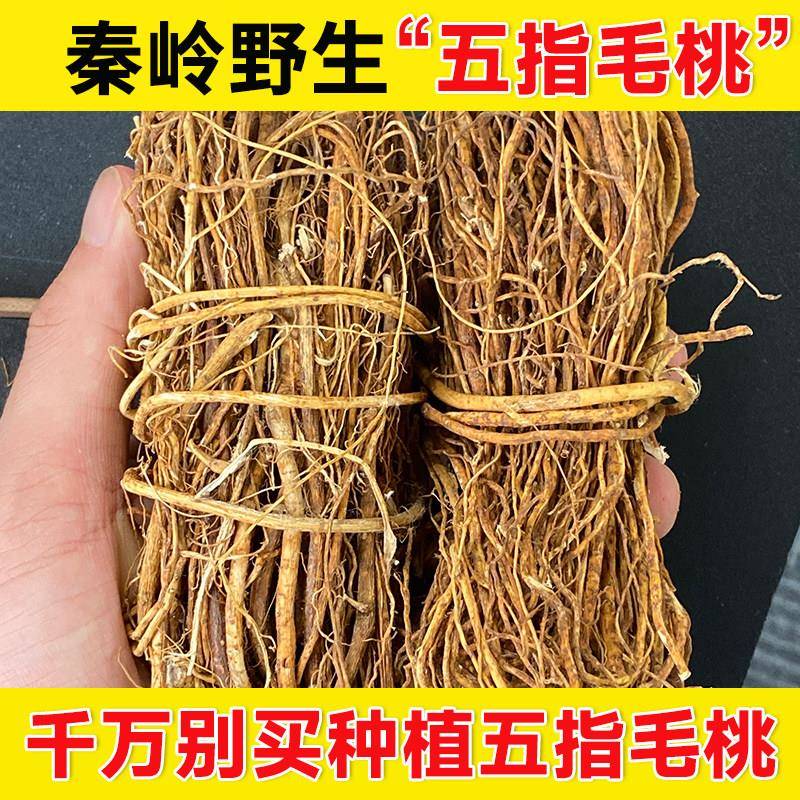 野生五指毛桃根500g官方正品非特级五爪龙搭土茯苓芡实煲汤原材料