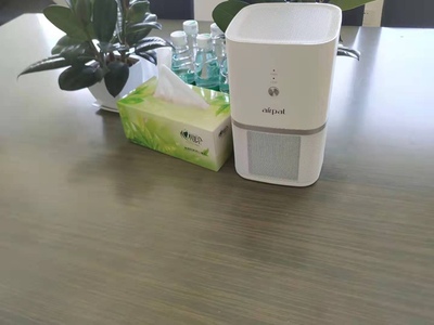 请教下业主简述airpal爱宝乐空气净化器怎么样，用后22天问题来了