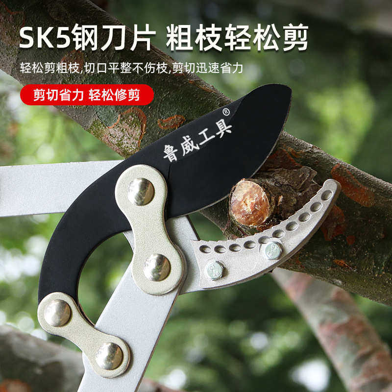 货源可伸缩高枝剪果枝剪果树剪园林剪刀剪枝专用剪子园林剪刀图片