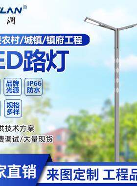 LED双臂路灯6/8/10/12米道路公园景区广场农村30W60W100W路灯杆