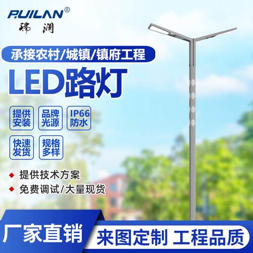 LED双臂路灯6/8/10/12米道路公园景区广场农村30W60W100W路灯杆