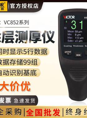 胜利涂层测厚仪镀锌层测厚仪漆膜仪油漆厚度测量仪漆面检测仪
