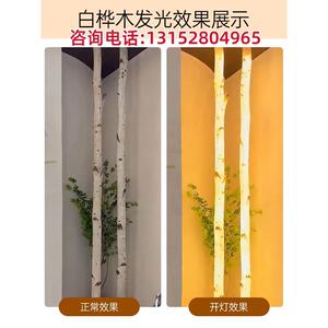 发光白桦树七彩派对FRP树脂落地桦树木树干户外网红民宿景观工程