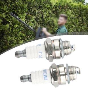 Sparkle Plug CJ8 Torch L6RTC L7RTC L8RTC L8RTF Engines