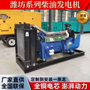 250kw潍坊柴油发电机组工业农业备用应急发电机组三相发电机组