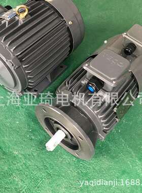 TEGH80M-4-0.75KW 1HP东元TECO电磁制动电机刹车电机
