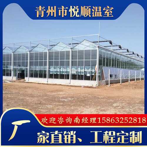 【温室大棚】文洛型连栋智能玻璃温室 花卉农业养殖温室大棚工程