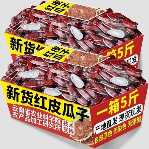 農科院新貨雲南紅皮瓜子原味大顆粒生瓜子向日葵花籽堅果休閒零食