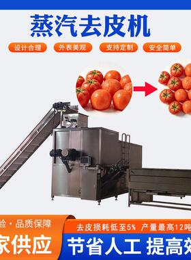 中鼎果干果脯红薯干柿干杏干桃干加工设备生产线无污染全自动速