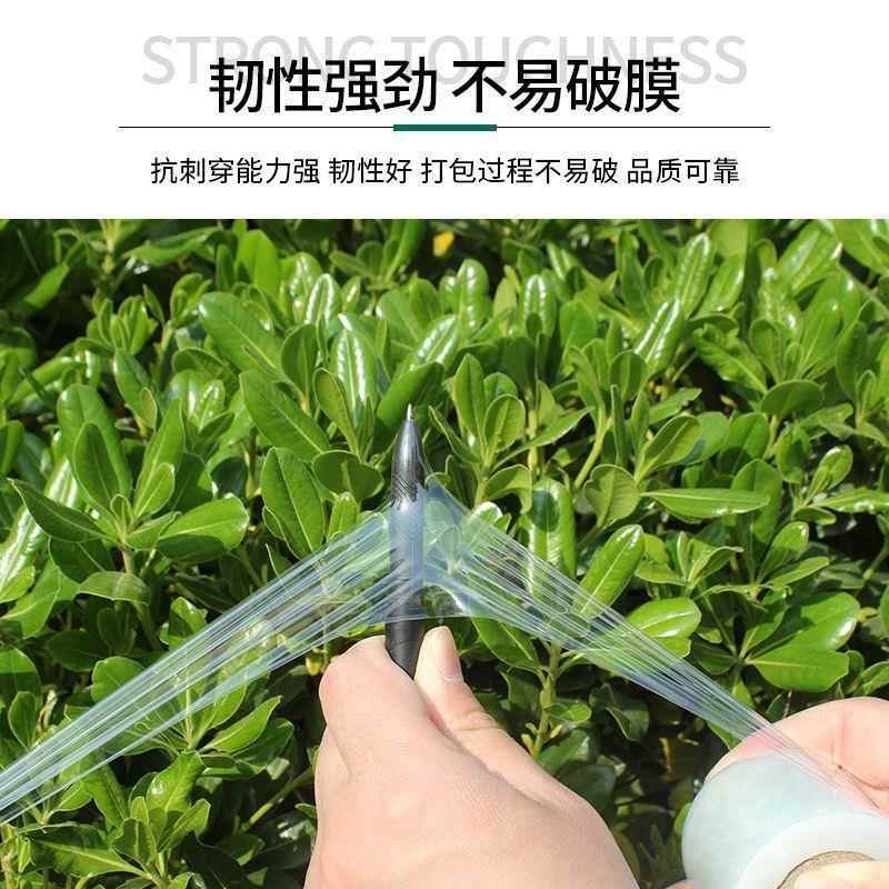 //cm小卷缠绕膜打包膜卖用VTI口膜果外树嫁接封专膜工业用保鲜膜