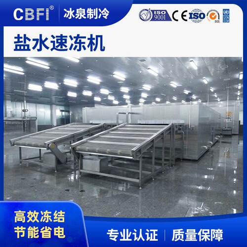 广州冰泉速冻水果水饺丸子加工流水线设备 液氮自动式隧道速冻机