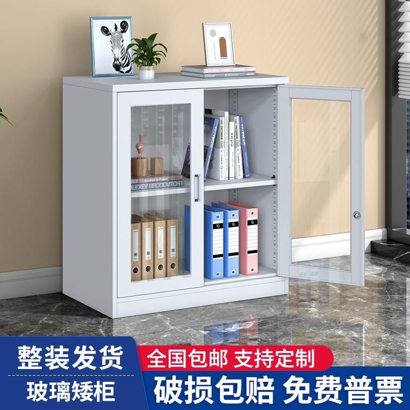 玻璃对开门矮柜办公室铁皮文件柜资料档案柜带锁桌下收纳柜收纳柜