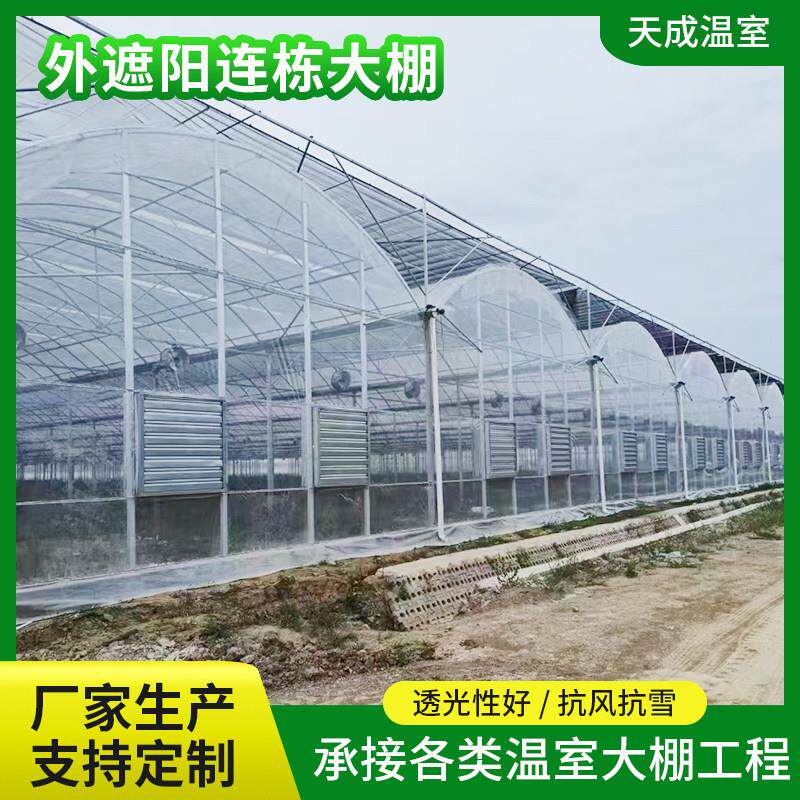 连身大棚抗风雪蔬菜大棚外遮阳温室大棚钢管支架降温调温薄膜安装