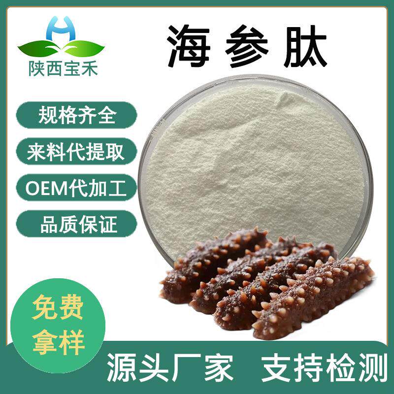 海参肽 98% 海参蛋白肽粉 海参低聚肽 海参小分子多肽 海参提取物