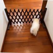 宠物栅栏狗笼隔断拦狗栅栏阳台隔离门可伸缩栅栏门挡狗挡猫兔护栏