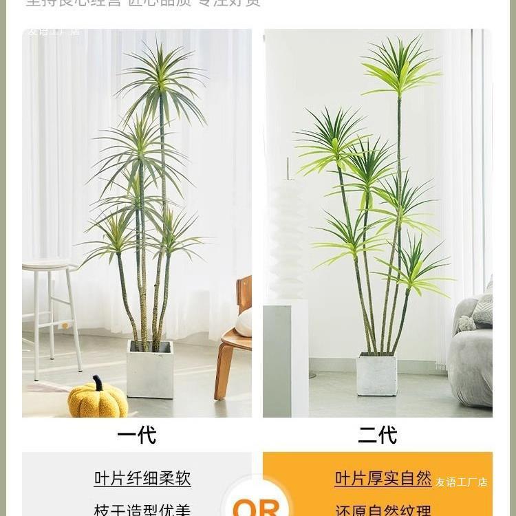 件轻奢绿植假植千物花木室内盆年栽F97958T6龙血树客厅装饰摆落地