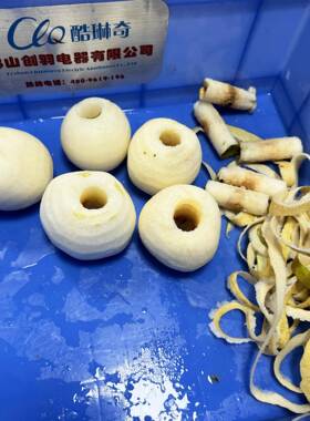 大型雪梨削皮去核机智能感应式全自动皇冠梨子削皮捅芯去核机