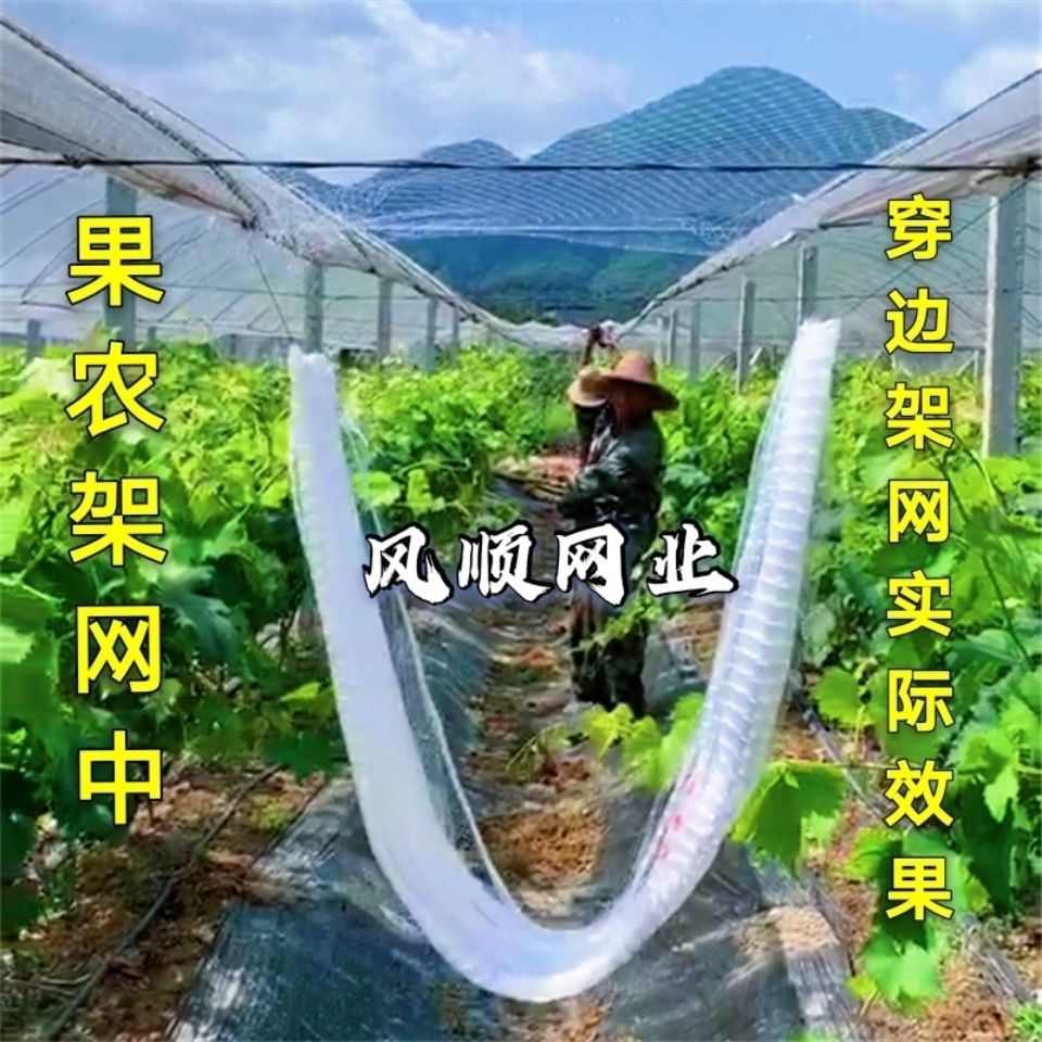 农用大棚俩侧通风口防鸟网暖棚口防护用网葡萄果园果树天沟遮代之
