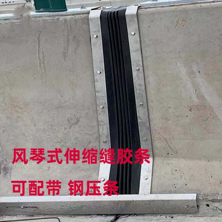 桥梁刚压条风琴式伸缩缝胶条W型密封橡胶条高速护栏变形缝密封条