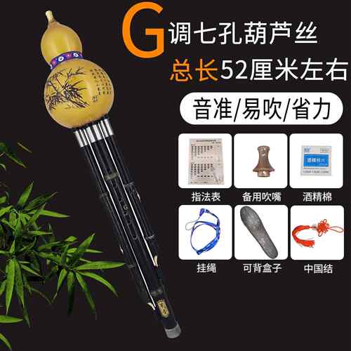 高档策音紫竹单双调葫芦乐丝FG降B//CD调音省力器成人准演奏专业