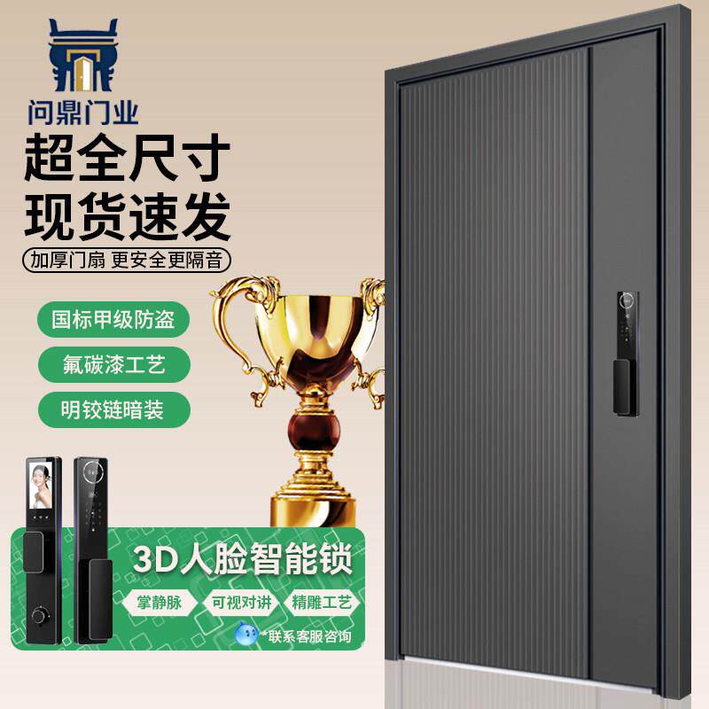 甲级防盗门进户门家用隔音新款国标4级农村自建房大门入户子母门