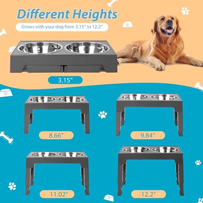 Elevated Dog Bowls 5 Adjustable Heights Raised Dog Bowl