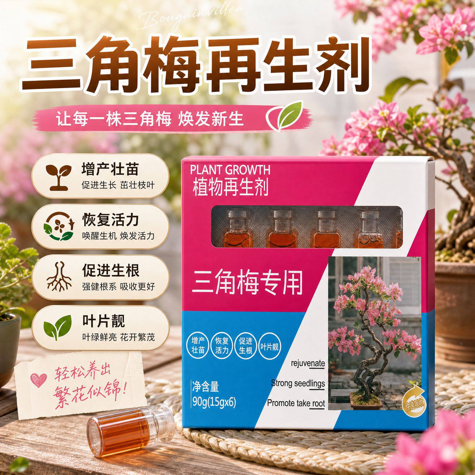 三角梅再生绿植花卉盆栽生物菌肥