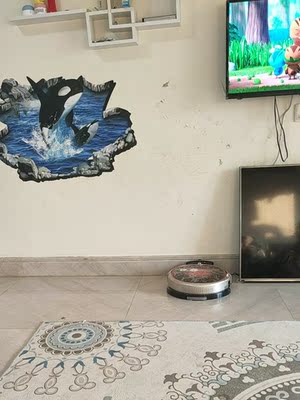 TOMEFON斐纳扫地机器人怎么样?大家真的了解它的优缺点？