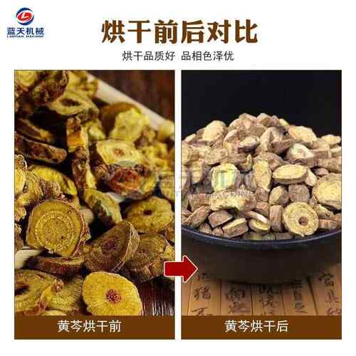 黄芩网带质烘干机烧生物颗干粒黄芩荼燥设干备黄芩切片烘流LT-WDH