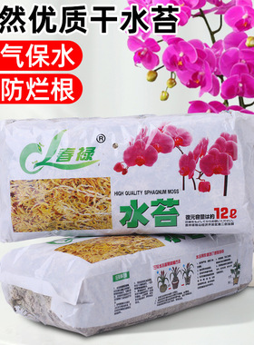 水苔蝴蝶兰专用营养土水苔干天然保湿兰花铺面乌龟冬眠水苔藓