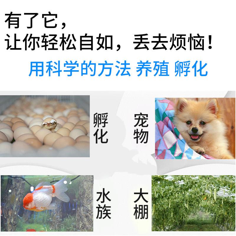数开智能温控插座控加温关暖气锅炉温度显控制器鱼缸宠物普彩（电