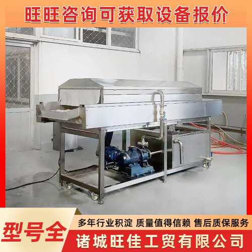 供应脐橙毛刷清洗机不锈钢毛辊式清洗机商用平行毛辊清洗机