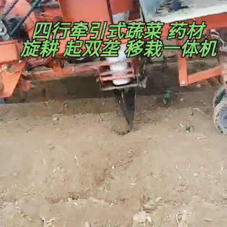 牵引式移栽器红葱种植机乘坐式双行辣椒苗移栽机四轮车牵引移栽器