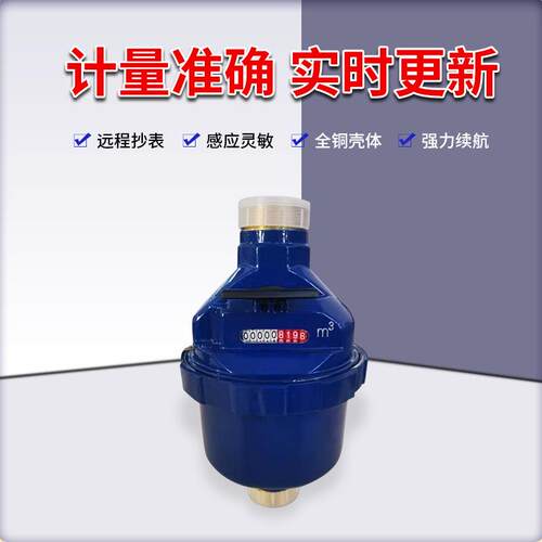 贝立欧管道直饮水便捷螺纹接口憎水防潮容积式活塞智能芯片冷水表