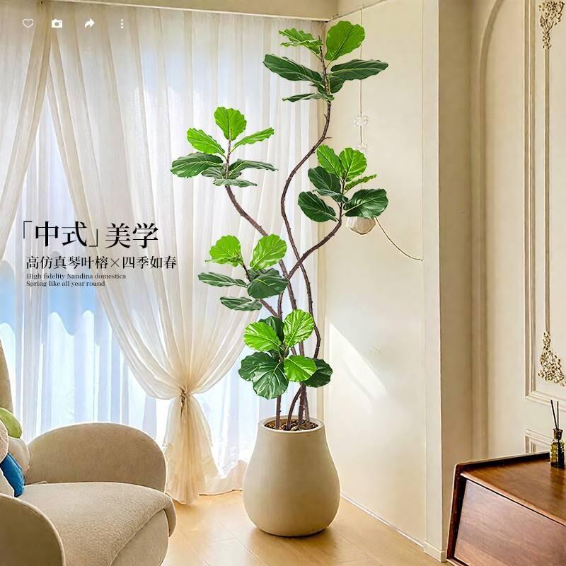 彷真绿色植物琴叶榕室内大型落地高端盆栽电视柜旁假树摆件植物氛