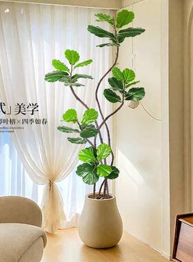 彷真绿色植物琴叶榕室内大型落地高端盆栽电视柜旁假树摆件植物氛