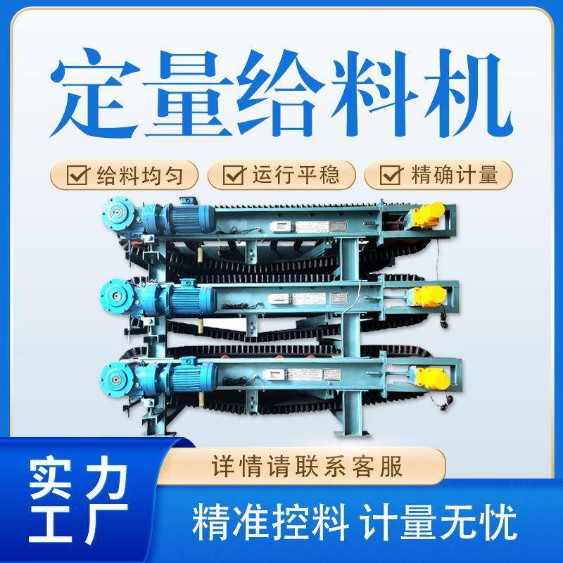 定量给料机水泥化工建材精度计量皮带秤配料流量秤称定量给料