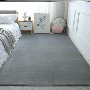 Fluffy Shaggy Carpet 地毯垫 Bedroom Mat for Rugs Area Floor