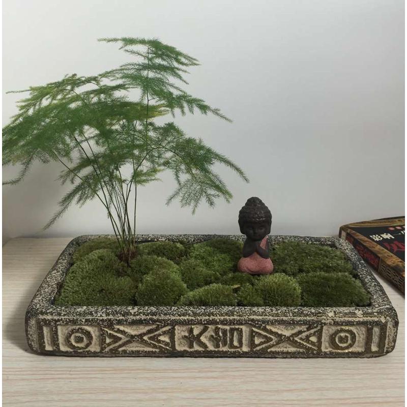 金钱菖蒲粗陶花盆水泥多肉苔藓盆景古典中国风禅意大吉仿汉砖