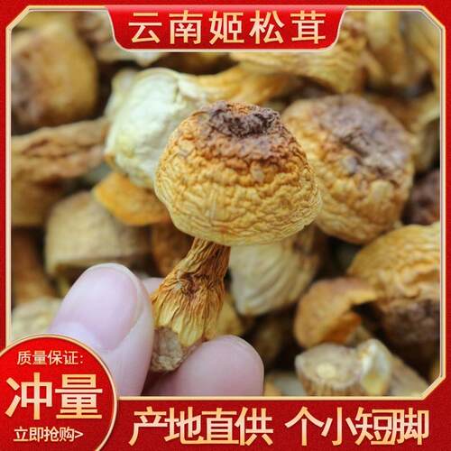 云南特产姬松茸新货野生巴西菇干货姬茸菇姬松茸源头散装500g