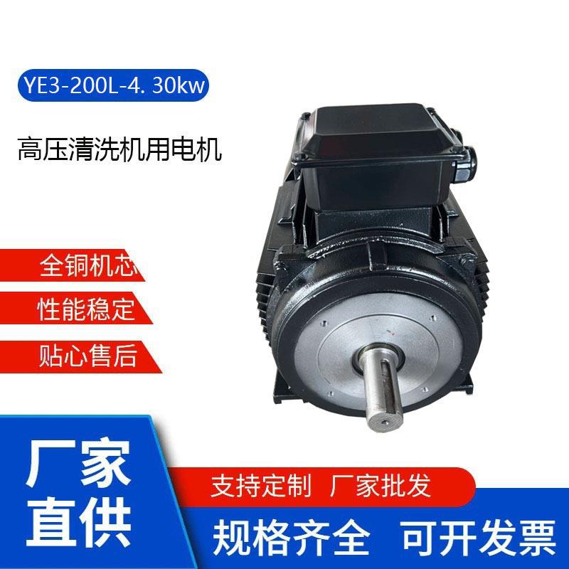 YE3.YE4系列及各种型号200L-4.30w压清洗机用电机支持