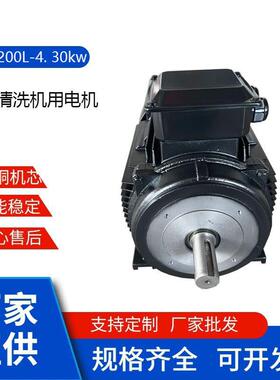 YE3.YE4系列及各种型号200L-4.30w压清洗机用电机支持