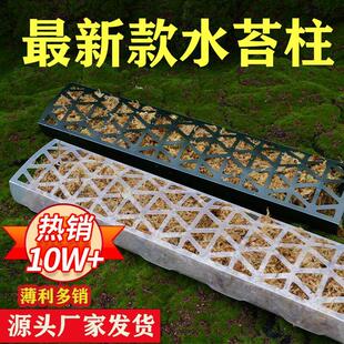 水苔柱可拼接龟背芋爬藤墙植物固定热植附生植物攀爬柱新型水台柱