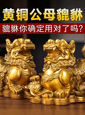 貔貅招财摆件客厅旺财纯铜公母貔貅一对皮丘家用店铺貔犰送礼开业