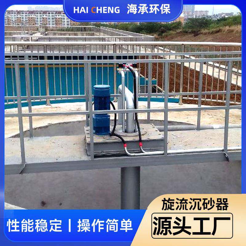 旋流沉砂器 旋流除砂机沙水分离器不锈钢除砂器气提装置实体工厂