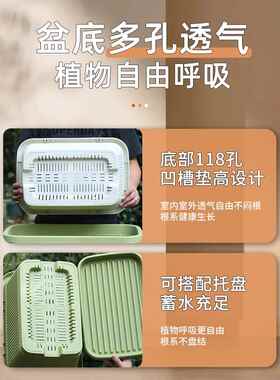 牧狼人阳台种菜专用箱家庭蔬菜草莓种植盆楼顶长方形塑料花盆花箱