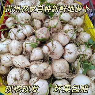 贵州农家现挖凉薯新鲜白地瓜脆甜番薯白心薯地萝卜大果蔬菜 包邮