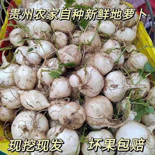 贵州农家现挖凉薯新鲜白地瓜脆甜番薯白心薯地萝卜大果蔬菜 包邮