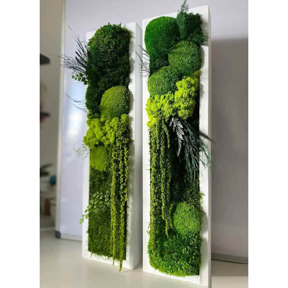 永生苔藓绿植壁挂挂件挂饰壁饰立体植物墙绿植高档墙桌面装饰摆件